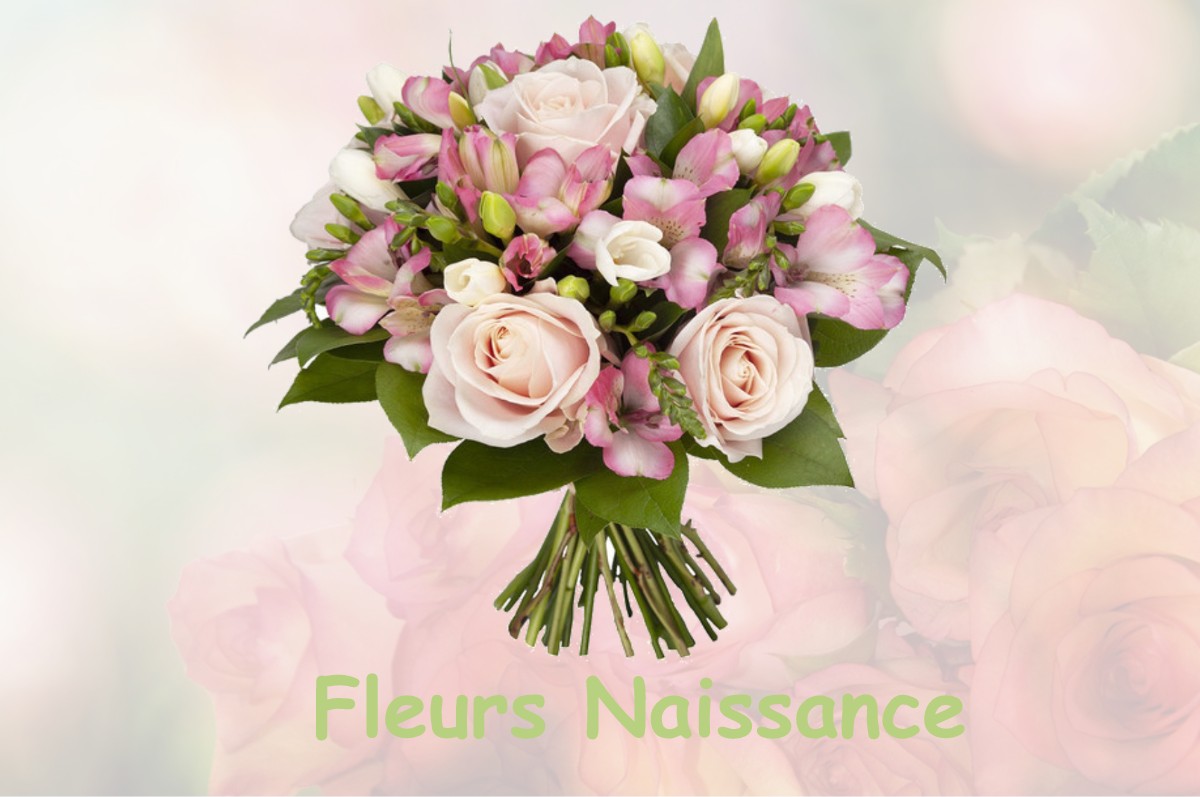 fleurs naissance COMBRES-SOUS-LES-COTES