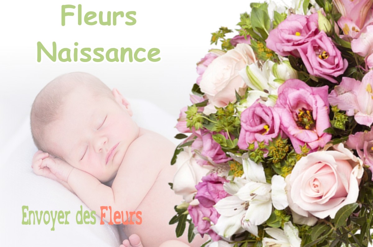 lIVRAISON FLEURS NAISSANCE à COMBRES-SOUS-LES-COTES